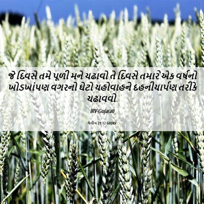 Picture 06 - લેવીય 23:12 GUJIRV - જે દિવસે તમે પૂળી - Bible Verse Picture