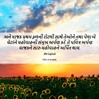 Picture 06 - લેવીય 23:20 GUJIRV - અને યાજક પ્રથમ - Bible Verse Picture