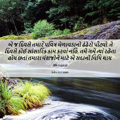 Picture 06 - લેવીય 23:21 GUJIRV - એ જ દિવસે તમારે - Bible Verse Picture