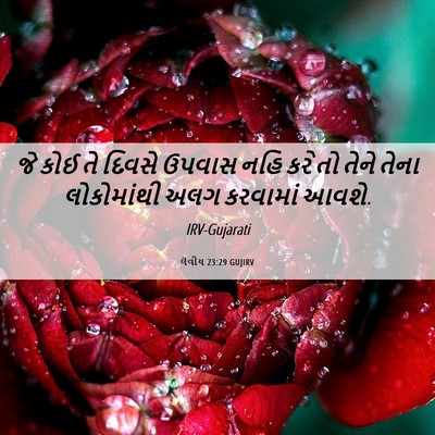 Picture 06 - લેવીય 23:29 GUJIRV - જે કોઈ તે દિવસે - Bible Verse Picture