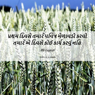 Picture 06 - લેવીય 23:35 GUJIRV - પ્રથમ દિવસે તમારે - Bible Verse Picture