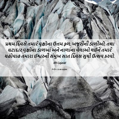 Picture 06 - લેવીય 23:40 GUJIRV - પ્રથમ દિવસે તમારે - Bible Verse Picture