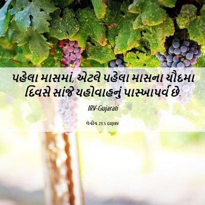 Picture 06 - લેવીય 23:5 GUJIRV - પહેલા માસમાં, એટલે - Bible Verse Picture