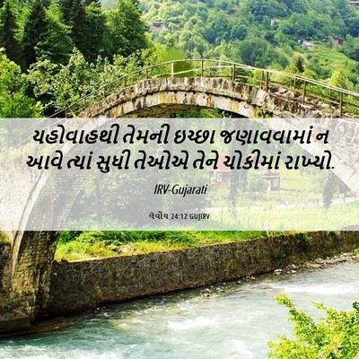 Picture 06 - લેવીય 24:12 GUJIRV - યહોવાહથી તેમની - Bible Verse Picture