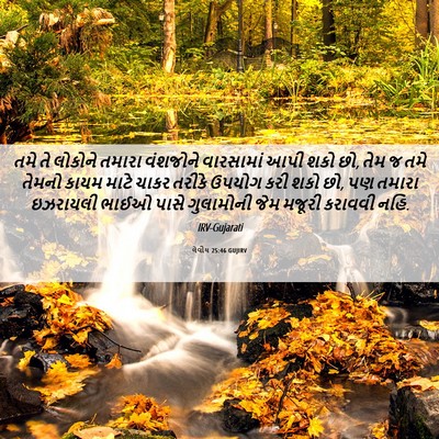 Picture 06 - લેવીય 25:46 GUJIRV - તમે તે લોકોને - Bible Verse Picture