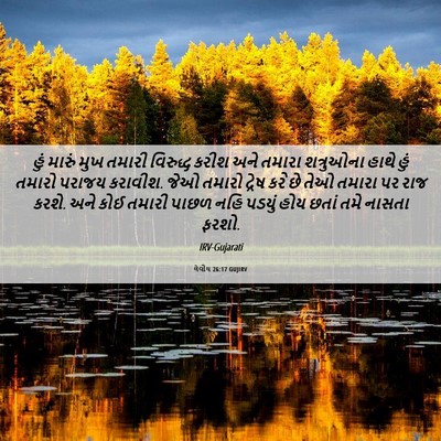 Picture 06 - લેવીય 26:17 GUJIRV - હું મારું મુખ - Bible Verse Picture