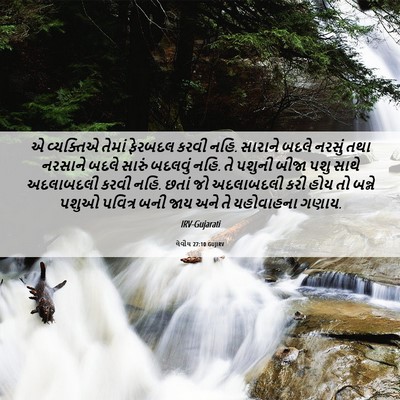 Picture 06 - લેવીય 27:10 GUJIRV - એ વ્યક્તિએ તેમાં - Bible Verse Picture