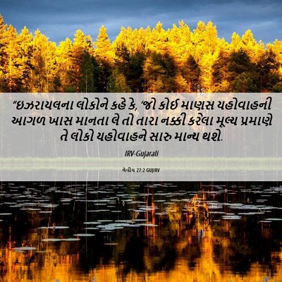 Picture 06 - લેવીય 27:2 GUJIRV - “ઇઝરાયલના લોકોને - Bible Verse Picture