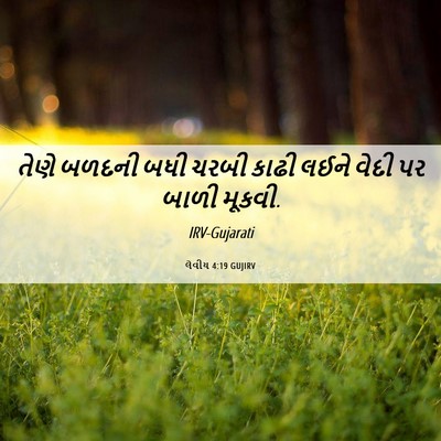 Picture 06 - લેવીય 4:19 GUJIRV - તેણે બળદની બધી - Bible Verse Picture