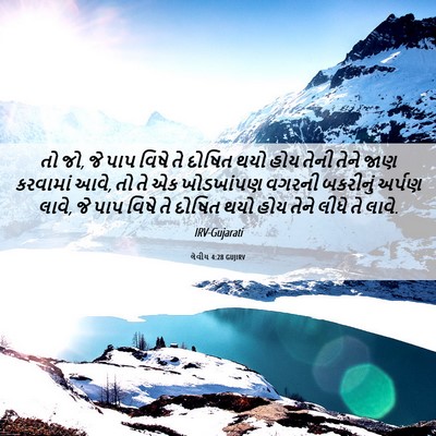 Picture 06 - લેવીય 4:28 GUJIRV - તો જો, જે પાપ વિષે - Bible Verse Picture