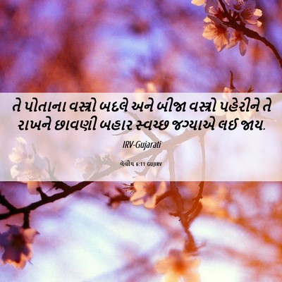 Picture 06 - લેવીય 6:11 GUJIRV - તે પોતાના વસ્ત્રો - Bible Verse Picture