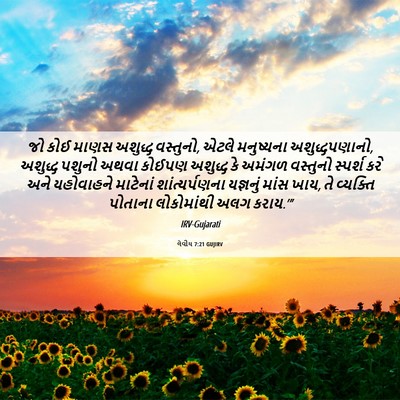 Picture 06 - લેવીય 7:21 GUJIRV - જો કોઈ માણસ અશુદ્ધ - Bible Verse Picture