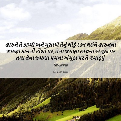 Picture 06 - લેવીય 8:23 GUJIRV - હારુને તે કાપ્યો - Bible Verse Picture