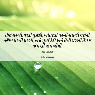 Picture 06 - લેવીય 8:25 GUJIRV - તેણે ચરબી, જાડી - Bible Verse Picture