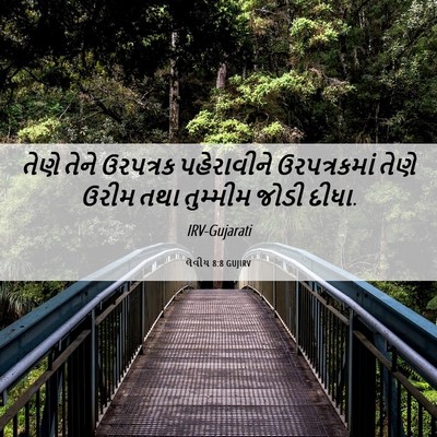 Picture 06 - લેવીય 8:8 GUJIRV - તેણે તેને ઉરપત્રક - Bible Verse Picture