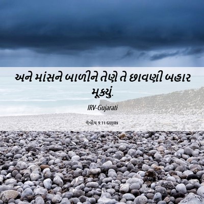 Picture 06 - લેવીય 9:11 GUJIRV - અને માંસને બાળીને - Bible Verse Picture