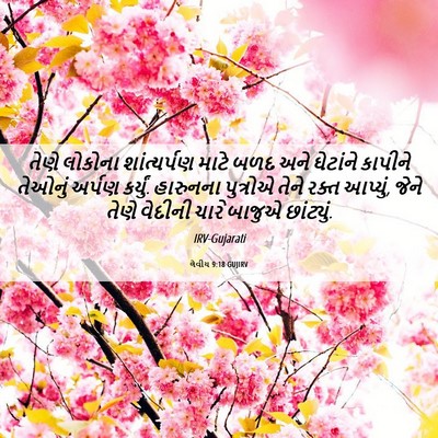 Picture 06 - લેવીય 9:18 GUJIRV - તેણે લોકોના - Bible Verse Picture