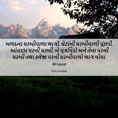 Picture 06 - લેવીય 9:19 GUJIRV - બળદના ચરબીવાળા - Bible Verse Picture