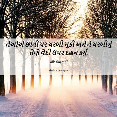 Picture 06 - લેવીય 9:20 GUJIRV - તેઓએ છાતી પર ચરબી - Bible Verse Picture