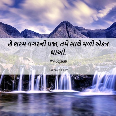 Picture 06 - સફાન્યા 2:1 GUJIRV - હે શરમ વગરની પ્રજા, - Bible Verse Picture