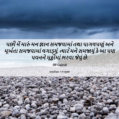 Picture 06 - સભાશિક્ષક 1:17 GUJIRV - પછી મેં મારું મન - Bible Verse Picture