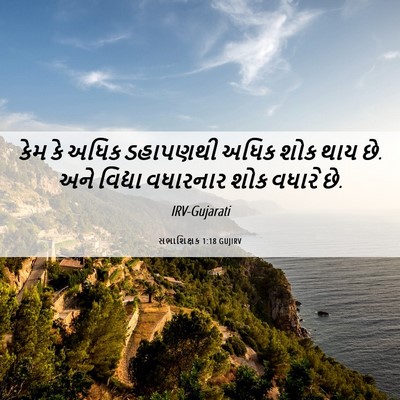 Picture 06 - સભાશિક્ષક 1:18 GUJIRV - કેમ કે અધિક - Bible Verse Picture