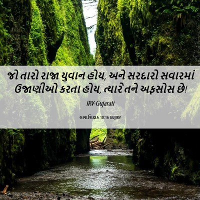 Picture 06 - સભાશિક્ષક 10:16 GUJIRV - જો તારો રાજા યુવાન - Bible Verse Picture