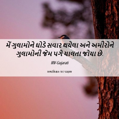 Picture 06 - સભાશિક્ષક 10:7 GUJIRV - મેં ગુલામોને ઘોડે - Bible Verse Picture