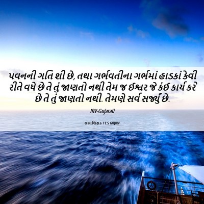 Picture 06 - સભાશિક્ષક 11:5 GUJIRV - પવનની ગતિ શી છે, - Bible Verse Picture