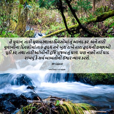 Picture 06 - સભાશિક્ષક 11:9 GUJIRV - હે યુવાન, તારી - Bible Verse Picture