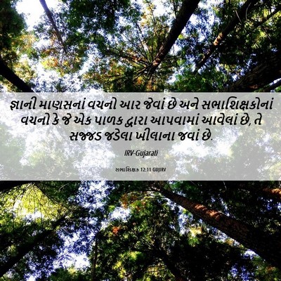 Picture 06 - સભાશિક્ષક 12:11 GUJIRV - જ્ઞાની માણસનાં - Bible Verse Picture