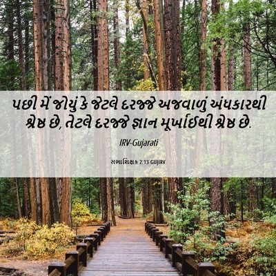 Picture 06 - સભાશિક્ષક 2:13 GUJIRV - પછી મેં જોયું કે - Bible Verse Picture
