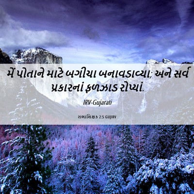 Picture 06 - સભાશિક્ષક 2:5 GUJIRV - મેં પોતાને માટે - Bible Verse Picture