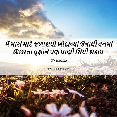 Picture 06 - સભાશિક્ષક 2:6 GUJIRV - મેં મારાં માટે - Bible Verse Picture