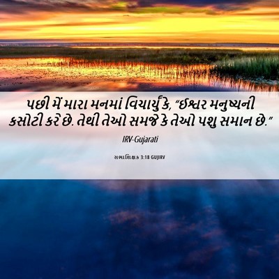 Picture 06 - સભાશિક્ષક 3:18 GUJIRV - પછી મેં મારા મનમાં - Bible Verse Picture