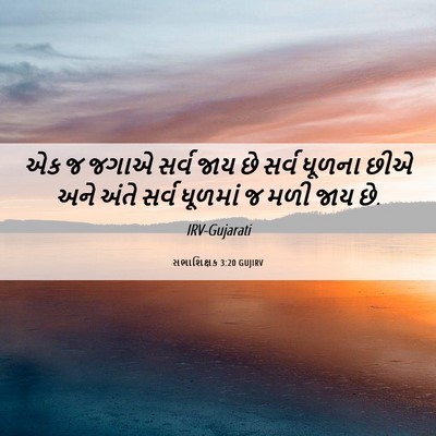Picture 06 - સભાશિક્ષક 3:20 GUJIRV - એક જ જગાએ સર્વ જાય - Bible Verse Picture