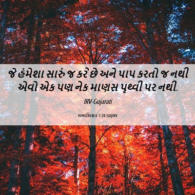 Picture 06 - સભાશિક્ષક 7:20 GUJIRV - જે હંમેશા સારું જ - Bible Verse Picture