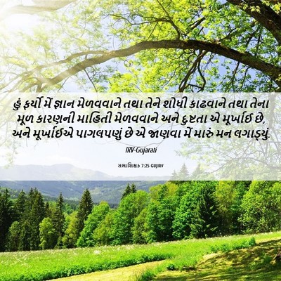 Picture 06 - સભાશિક્ષક 7:25 GUJIRV - હું ફર્યો મેં - Bible Verse Picture