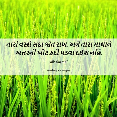 Picture 06 - સભાશિક્ષક 9:8 GUJIRV - તારાં વસ્ત્રો સદા - Bible Verse Picture