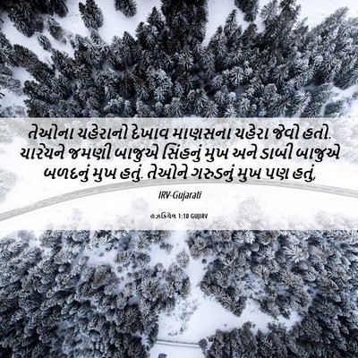 Picture 06 - હઝકિયેલ 1:10 GUJIRV - તેઓના ચહેરાનો - Bible Verse Picture