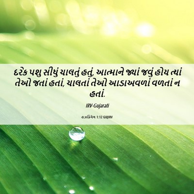 Picture 06 - હઝકિયેલ 1:12 GUJIRV - દરેક પશુ સીધું - Bible Verse Picture