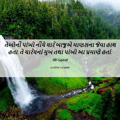 Picture 06 - હઝકિયેલ 1:8 GUJIRV - તેઓની પાંખો નીચે - Bible Verse Picture