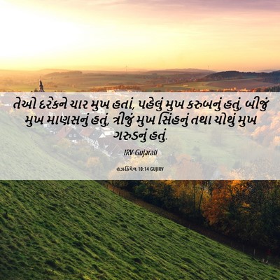 Picture 06 - હઝકિયેલ 10:14 GUJIRV - તેઓ દરેકને ચાર મુખ - Bible Verse Picture