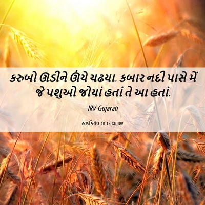 Picture 06 - હઝકિયેલ 10:15 GUJIRV - કરુબો ઊડીને ઊંચે - Bible Verse Picture