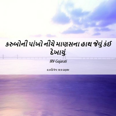 Picture 06 - હઝકિયેલ 10:8 GUJIRV - કરુબોની પાંખો - Bible Verse Picture