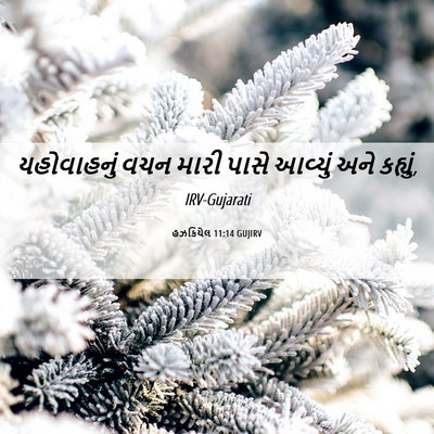 Picture 06 - હઝકિયેલ 11:14 GUJIRV - યહોવાહનું વચન - Bible Verse Picture