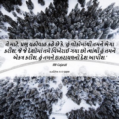 Picture 06 - હઝકિયેલ 11:17 GUJIRV - તે માટે, પ્રભુ - Bible Verse Picture