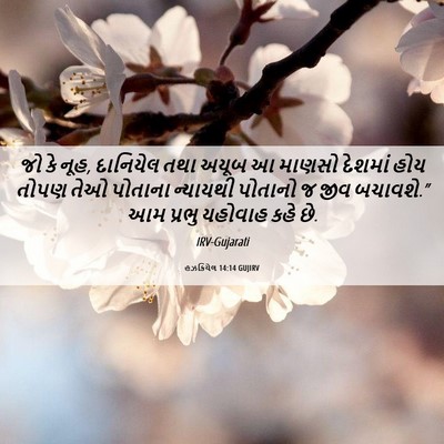 Picture 06 - હઝકિયેલ 14:14 GUJIRV - જો કે નૂહ, દાનિયેલ - Bible Verse Picture