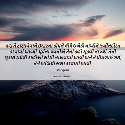 Picture 06 - હઝકિયેલ 19:12 GUJIRV - પણ તે - Bible Verse Picture