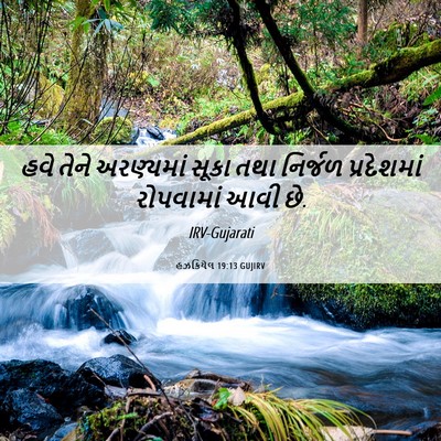 Picture 06 - હઝકિયેલ 19:13 GUJIRV - હવે તેને અરણ્યમાં - Bible Verse Picture